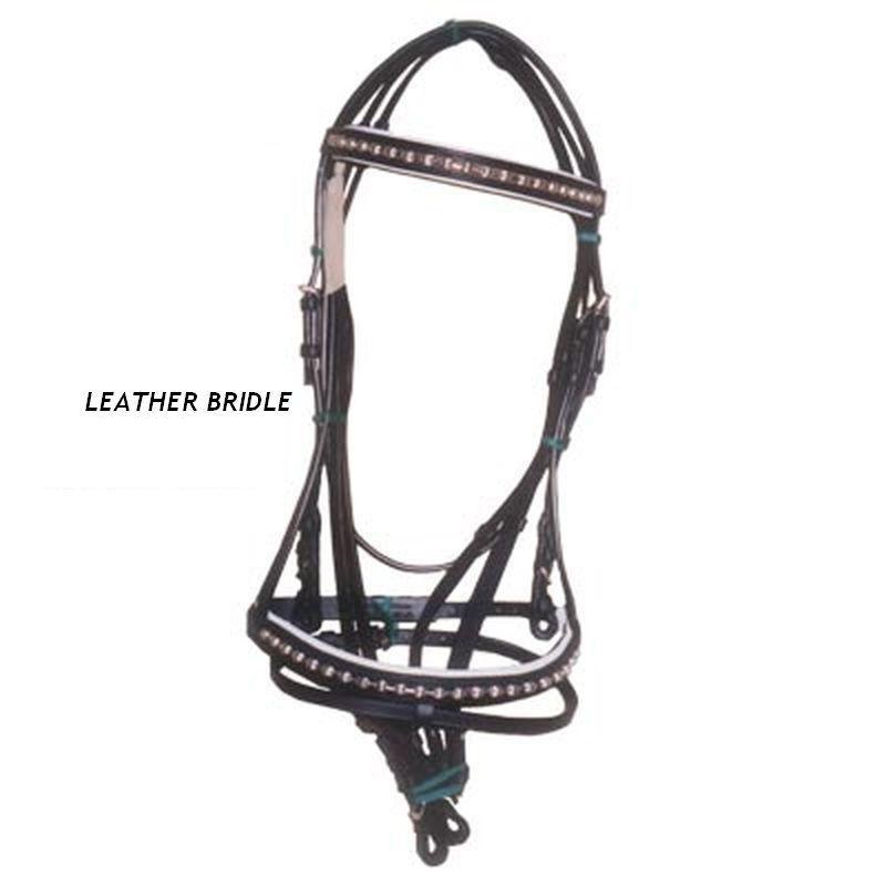 Leather Bridle